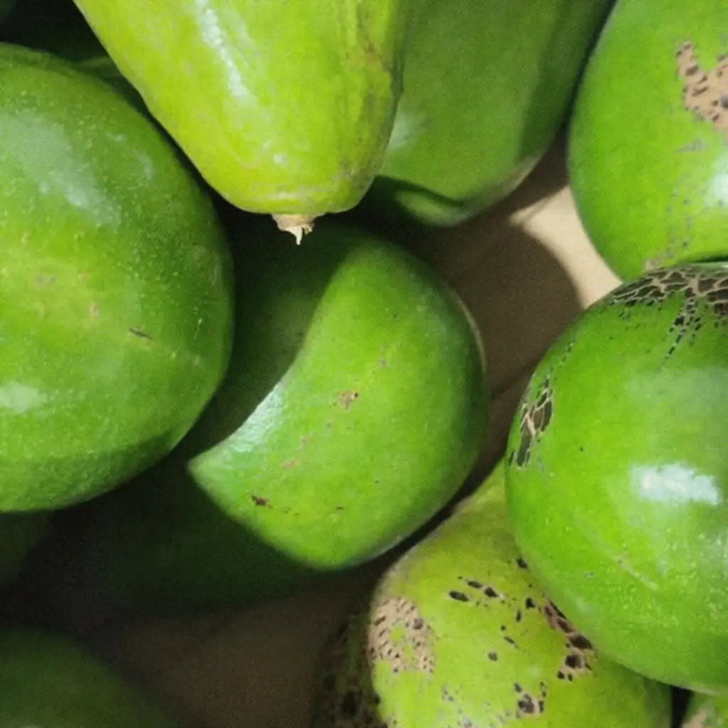 Aguacates verdes de cerca, con la cáscara pintada de puntitos.