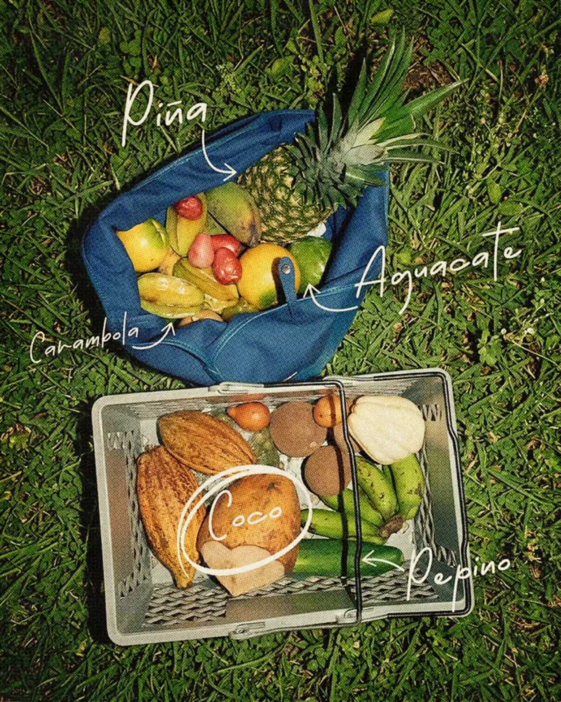 Bolsa y canasta de frutas sobre la grama, con los nombres escritos a mano: piña, aguacate, coco.