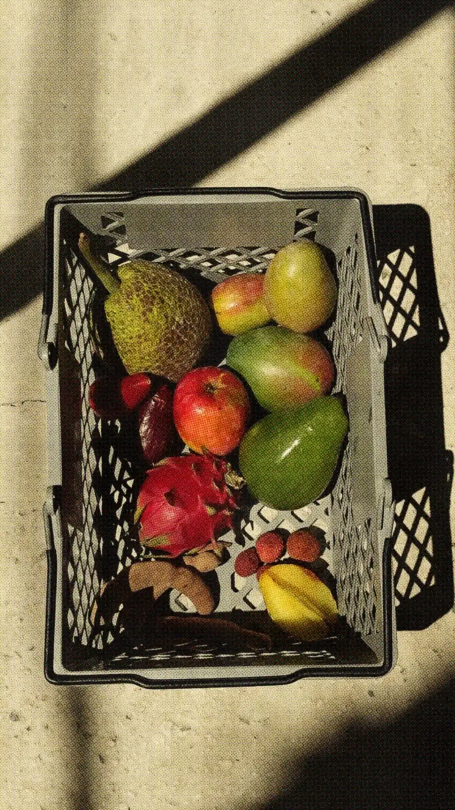 Canasta de frutas del país vista desde arriba: mangó, pitahaya, carambola y aguacate.