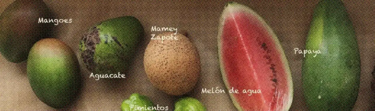 Ejemplo de frutas de temporada vistas desde arriba: mangó, aguacate, mamey, melón de agua y papaya.